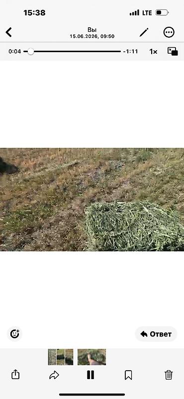 Корма для с/х животных: Сено в тюках - Тип: луговое сено, прессованные прямоугольные тюки. - — 8