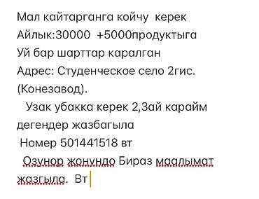 пастухи: Требуется Пастух, Оплата: Ежемесячно, Питание — 1