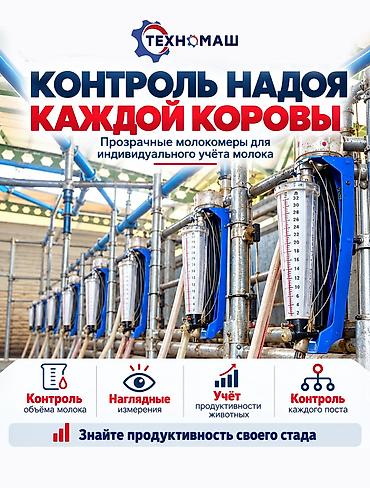дойка коров аппаратом: Доильный зал Melasty профессиональная система для молочных ферм ПОД — 4