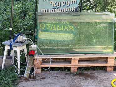 бесшумный компрессор для аквариума: Срочно срочно продаю аквариум очень большой все необходимые для