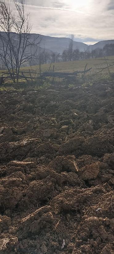 Torpaq sahələrinin satışı: Kənd təsərrüfatı — 5