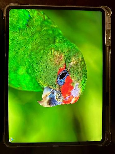 Digər planşetlər: OnePlus Pad 3 planşeti - Model: OnePlus Pad 3 - Sistem: OxygenOS — 4