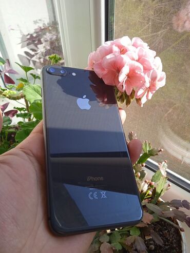 айфон 8 цена в бишкеке в цуме бу: IPhone 8 Plus, Б/у, 64 ГБ, Черный, Чехол, Кабель, 76 %
