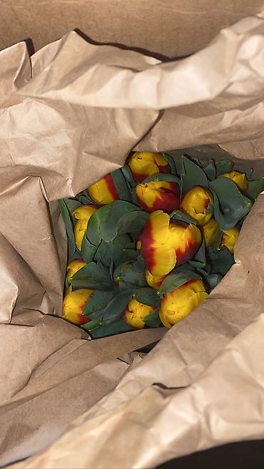 Букеты из живых цветов: Дорогие друзья! В продаже голландские тюльпаны выращенные в наших — 16