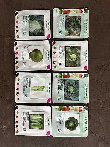 Другие овощные культуры: Семена овощных культур SAKATA (профессиональная серия, фасовка по 1000 — 1