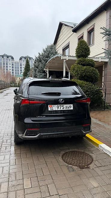 300h: Lexus NX: 2019 г., 2.5 л, Вариатор, Гибрид, Кроссовер — 3