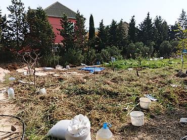 usta isləri: Bağ sahələrinin təmizlənməsi və abadlaşdırılması xidməti Təklif — 7