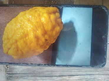 limon ağaçı: Bir ədəd limon ağacı 🍋 15azn 
bir ədəd portağal ağacı 15azn — 2