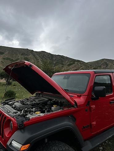 performance: Jeep Wrangler: 2024 г., 2 л, Автомат, Бензин, Внедорожник — 9