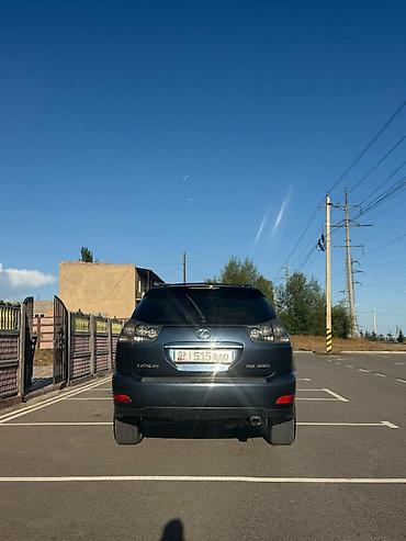 10 лет в одних руках: Lexus RX: 2003 г., 3.3 л, Автомат, Газ, Кроссовер — 9