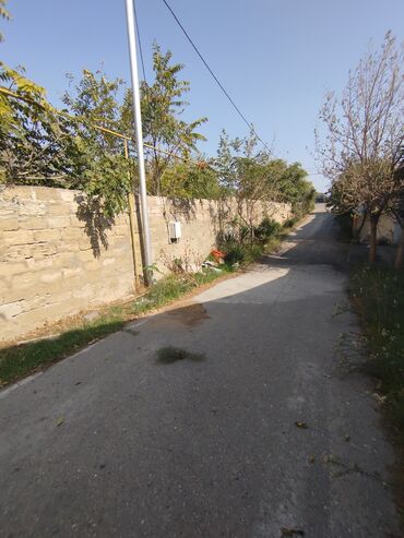 Videomüşahidə: Merkanda kupçalı 14 sot torpaq satılır içinde köhne tikili var yol — 8