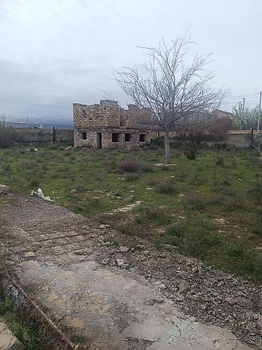 sumqayıtda: 6 sot, Tikinti, Mülkiyyətçi, Kupça (Çıxarış) — 5