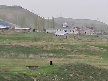 Продажа коттеджей и домов: Продаю дом -ферму с участком в 10 соток, в селе Каирма между Арчалы и — 3