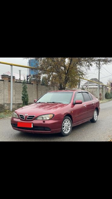 Nissan: Nissan Primera: 2001 г., 2 л, Автомат, Бензин, Хэтчбэк