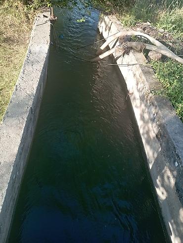 Другие товары для дома и сада: Продаю сад черешня 350шт. персик поздний 60 шт. территория 1,26га — 9