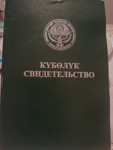 участка кара балта: 2480 соток, Для сельского хозяйства, Договор дарения