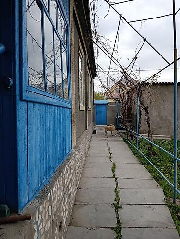 Продажа коттеджей и домов: Продаётся частный дом с двором и капитальным ограждением — 2