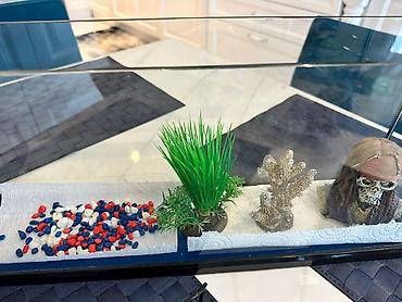 100 l akvarium: Akvarium
55sm uzunlugu,10sm eni,22sm hundurluyu — 2