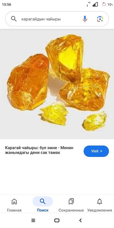 Другие медицинские товары: Карагай чайыры