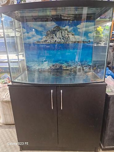 Akvariumlar: Akvarium-şkaf, Boş, 210 l, Ödənişli çatdırılma, Pulsuz çatdırılma — 3