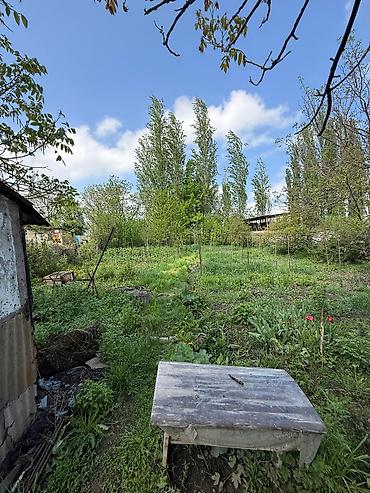 ла сота: 🏡 Продается уютный дом в г. Шопоков! 📍 Ул. Тургенева ✨ Отличный — 1