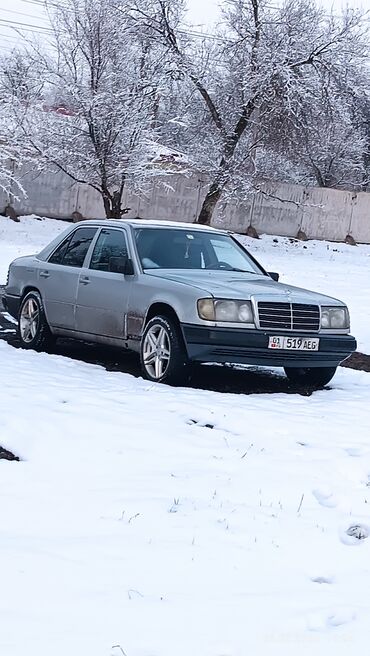 Mercedes-Benz: Mercedes-Benz W124: 1989 г., 3 л, Механика, Дизель, Седан