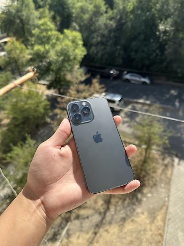 ipnone x: IPhone 13 Pro, Б/у, 256 ГБ, Matte Silver, 100 % — 1