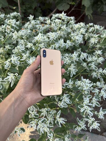 asus predator: IPhone Xs, Колдонулган, 64 ГБ, Алтын, Коргоочу айнек, Каптама, 100 %