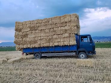 mercedes 1324 1524: Грузовик, Mercedes-Benz, Стандарт, 7 т, Б/у — 3