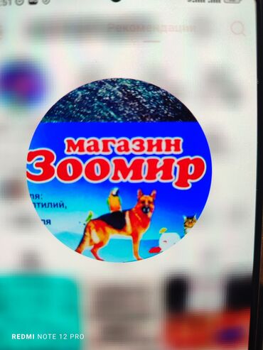 попугаи с клеткой: На работу в ветеринарную аптеку(зоомагазин) требуется девушка от 25лет