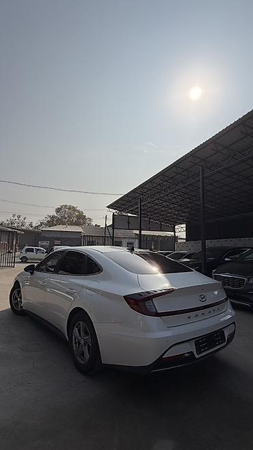 honda accort: Hyundai Sonata: 2022 г., 2 л, Автомат, Газ, Седан — 5
