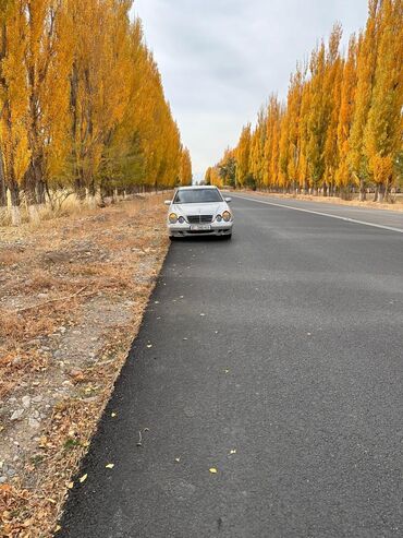 210 мерс дизел: Mercedes-Benz E-Class: 2000 г., 2.7 л, Типтроник, Дизель, Седан