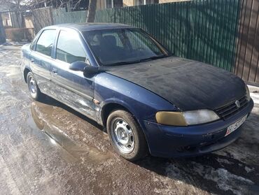 Opel: Opel Vectra: 1998 г., 1.6 л, Механика, Бензин, Седан