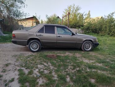 Mercedes-Benz: Mercedes-Benz 220: 1991 г., 2 л, Механика, Бензин, Седан