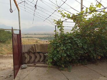 село виноград: 30 м², 3 комнаты, Без мебели