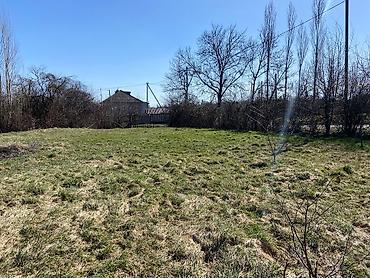 Torpaq sahələrinin satışı: Kənd təsərrüfatı — 9