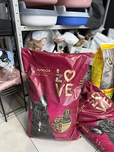 корм для щенков: Сухой корм для Собак My Love Junior (240сом за 1кг ) (2640сом за — 1