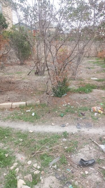 Torpaq sahələrinin satışı: 2 sot, Tikinti, Mülkiyyətçi, Kupça (Çıxarış) -da lalafo.az — 2 Torpaq sahələrinin satışı: 2 sot, Tikinti, Mülkiyyətçi, Kupça (Çıxarış) — 2