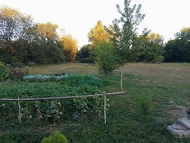 Продажа коттеджей и домов: Дом с участком. Участок 80 сотых. Дом находится в чуйская область село — 13