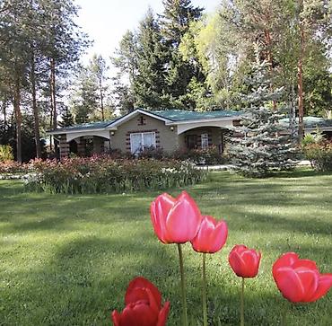 купить квартиру в чолпон ате: 1 комната, 35 м², Элитка, 2 этаж, Евроремонт — 9