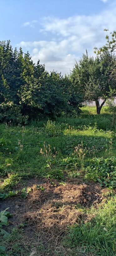 xacmaz torpag: Qebele rayon zaragan kəndində 20 sot torpaq sahəsi satilir qazı işığı