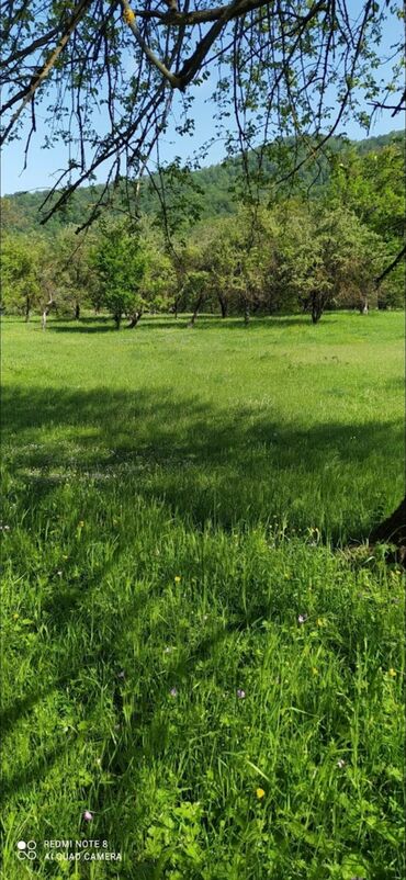 Torpaq sahələrinin satışı: 48 sot, Tikinti, Mülkiyyətçi, Bələdiyyə — 12