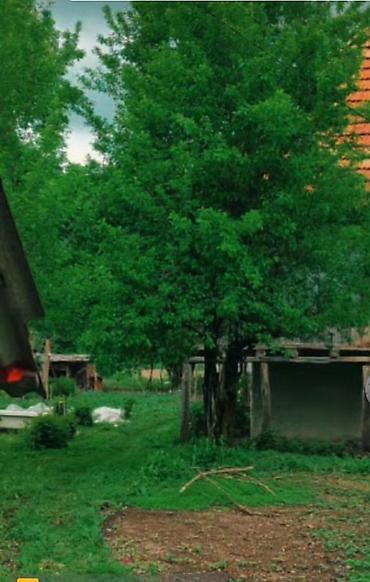 bağca satılır: Bakı, Əhmədli, 5 kv. m, 1 otaqlı, Hovuzsuz — 2