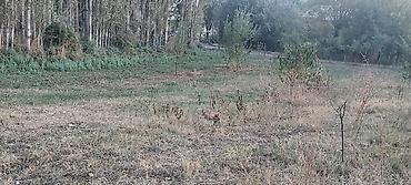 Продажа участков: 30 соток at lalafo.kg — 15 Продажа участков: 30 соток — 15
