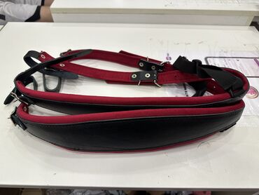 Аккордеоны: Продаю привозной Германский аккордеон Вельтмейстер каприз — 8