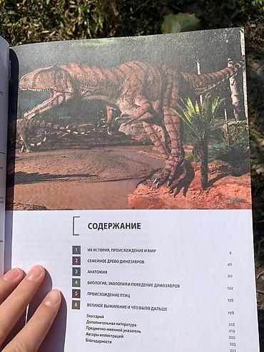 Другие книги и журналы: Книга «Динозавры» Новая, покупали в Букингем, нигде не порвано, не — 4