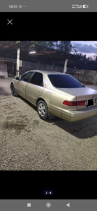 таета сина: Toyota Camry: 2004 г., Автомат, Бензин, Седан — 1