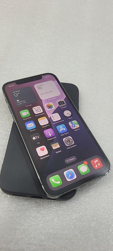 Apple iPhone: IPhone 12 Pro, Б/у, 256 ГБ, Черный, Чехол, 75 % — 3