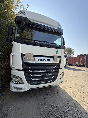 хово 2026: Тягач, DAF, Шторный — 3