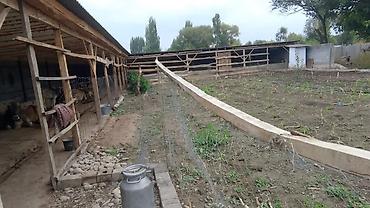 котедж пантера: Farm КРС, 7158 соток, Действующий, Частично с оборудованием, Электричество — 2